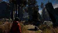 Through the Woods-screenshots